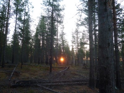P1020646.JPG