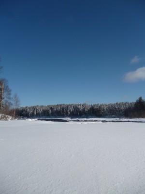 P1020841.JPG