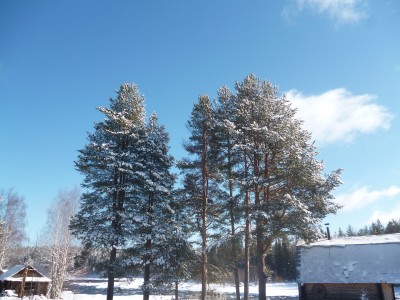 P1020850.JPG