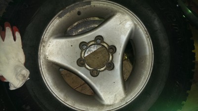 IMAG0186.jpg