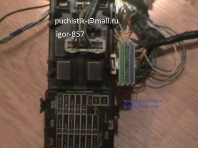 IMGA0003.JPG