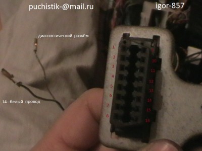 IMGA0005.JPG