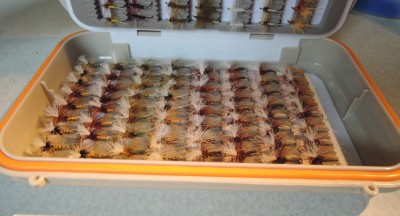 DSCN1226.JPG