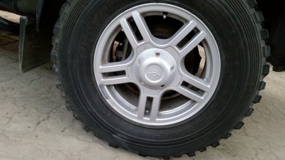 пат3.jpg