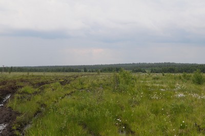 DSC_3060.jpg