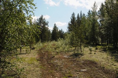 DSC_3076.jpg