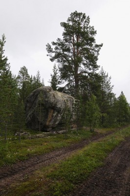 DSC_4627.jpg