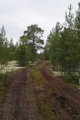 DSC_4629.jpg