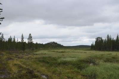 DSC_4636.jpg