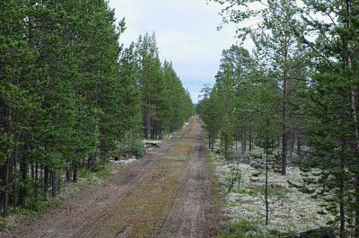 DSC_4666.jpg