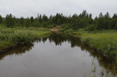 DSC_4705.jpg