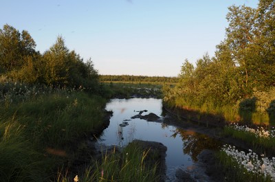 DSC_4778.jpg