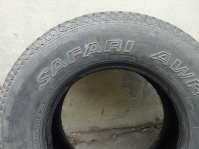 IMG10098.jpg