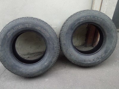IMG10100.jpg