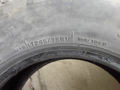 IMG10101.jpg