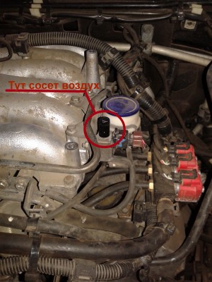 20150423_175917.jpg