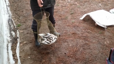 Волга 2015 944.jpg