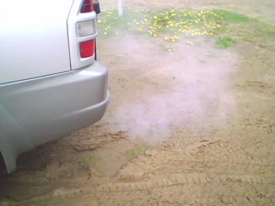 это на холостых после прогазовки на холодную...