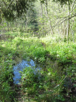 IMG_0047.jpg
