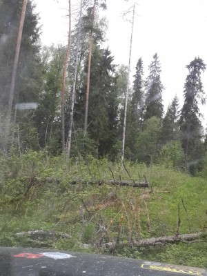 Что-то тут не так....