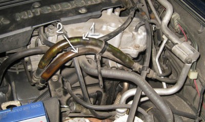 IMG_0247.jpg
