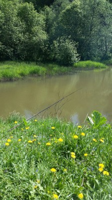 2015-06-03 07.12.23.jpg