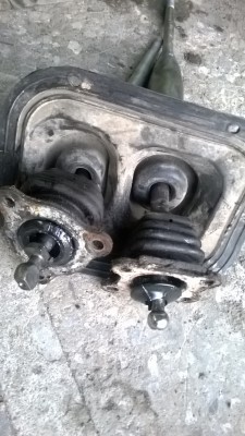 WP_20150603_014.jpg