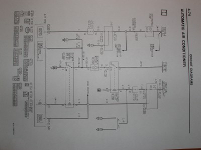 P1010024.JPG