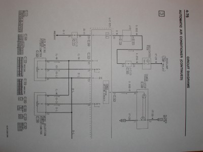P1010026.JPG