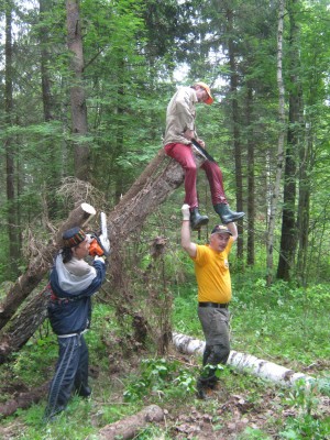 IMG_0010_новый размер.JPG