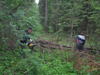 IMG_0005_новый размер.JPG