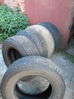 DSCN5428.JPG