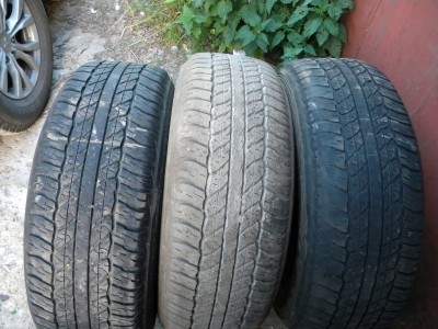 DSCN5431.JPG