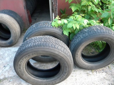 DSCN5433.JPG