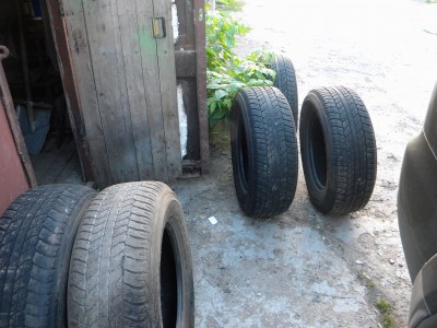 DSCN5435.JPG