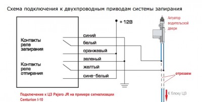 ЦЗ Junior.jpg