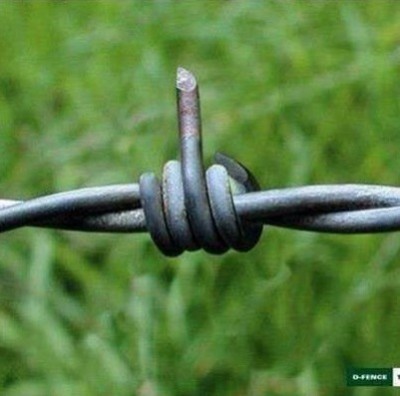 фук.jpg