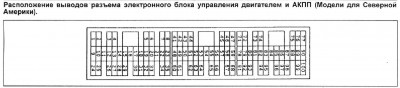ecurem3.JPG