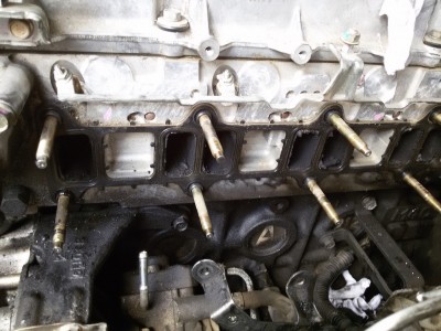 motorchek.jpg
