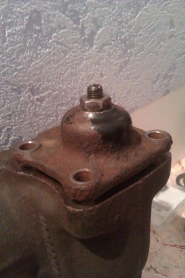 IMAG0646.jpg