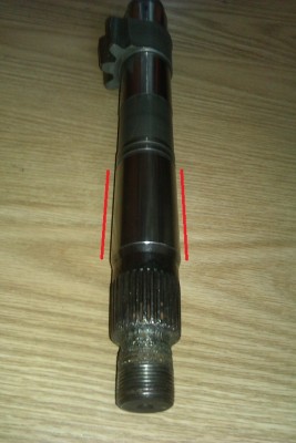 IMAG0638.jpg