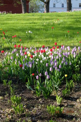 DSCF6895.JPG