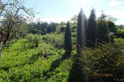 DSCF6886.JPG