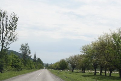 IMG_8480_новый размер.JPG