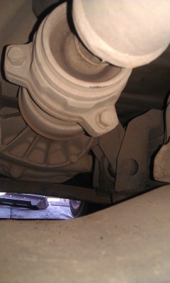 IMAG0977.jpg