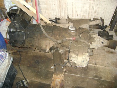 DSC03595.JPG