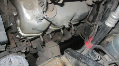 IMG_6237.JPG