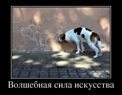 1918962c7a1ce28dabbe9a0c9f6e2144df1b35ced38095329b9b8fef11bd4904_1.jpg