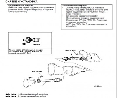 driveshafts.jpg