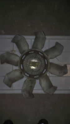 IMAG0729.jpg